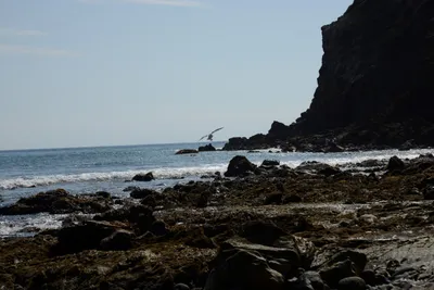 DSC_0825 (Large).JPG